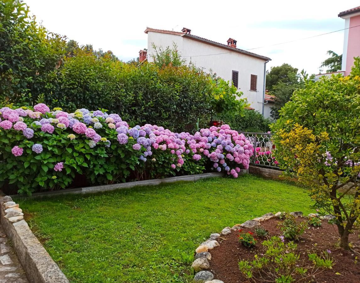 Apartments Villa Katana Пореч Экстерьер фото